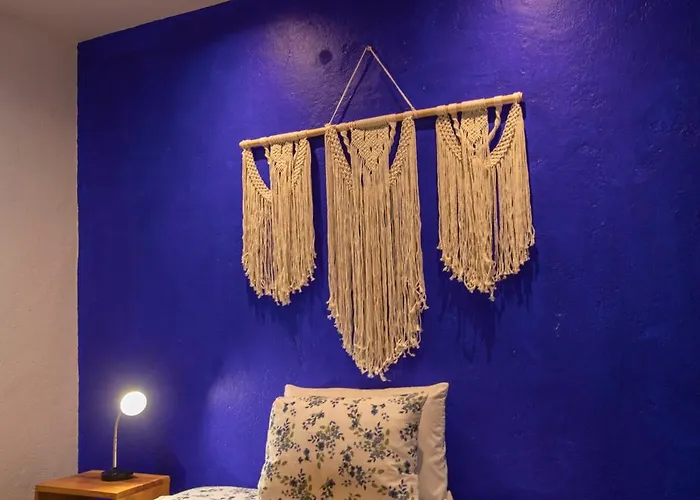 Departamentos Mi Querido Coyoacan Apartment Mexico City