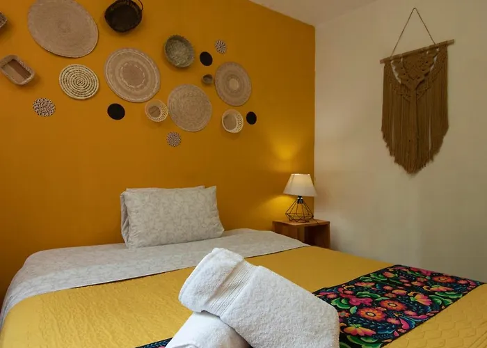 Departamentos Mi Querido Coyoacan Apartment