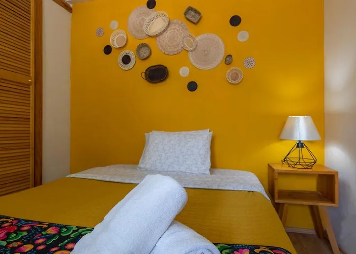 Departamentos Mi Querido Coyoacan Apartment Mexico City