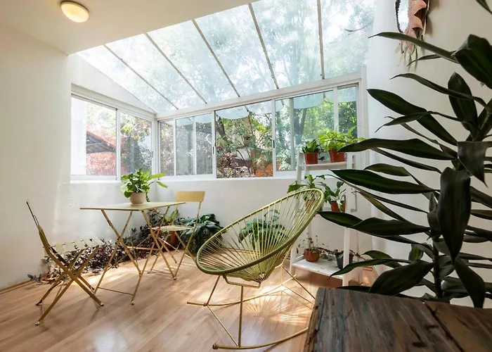 Departamentos Mi Querido Coyoacan Apartment Mexico City