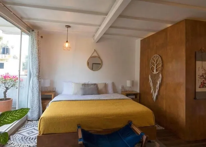 Departamentos Mi Querido Coyoacan Apartment Mexico City