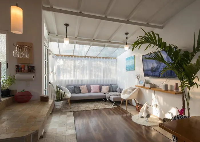 Departamentos Mi Querido Coyoacan Apartment Mexico City