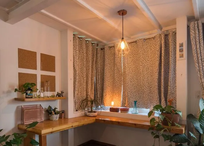 Apartment Departamentos Mi Querido Coyoacan Mexico City
