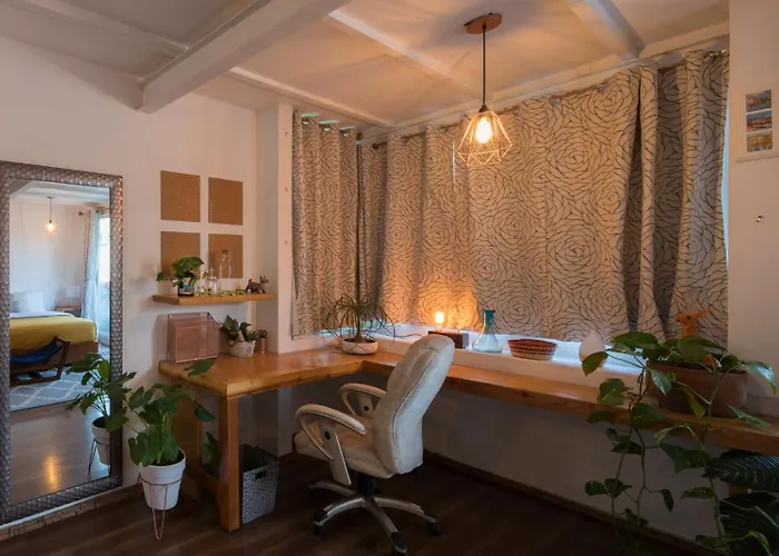 Departamentos Mi Querido Coyoacan Apartment Mexico City